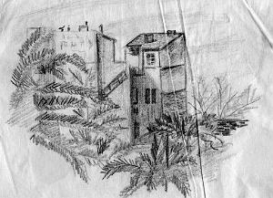 1958 IMMEUBLES VUS DE LA TERRASSE DE LA BNCI PLACE CARNOT A SIDI BEL ABBES